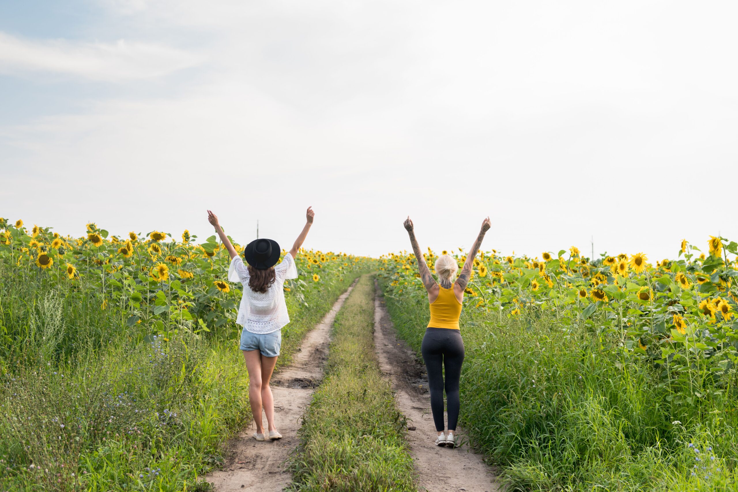 Two women joyfully raise their hands amidst a vibrant sunflower field on a sunny day.
